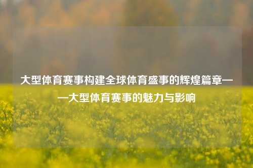 大型体育赛事构建全球体育盛事的辉煌篇章——大型体育赛事的魅力与影响