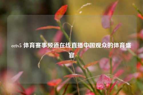 cctv5 体育赛事频道在线直播中国观众的体育盛宴