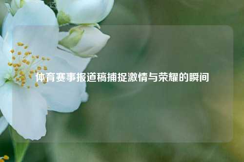 体育赛事报道稿捕捉激情与荣耀的瞬间