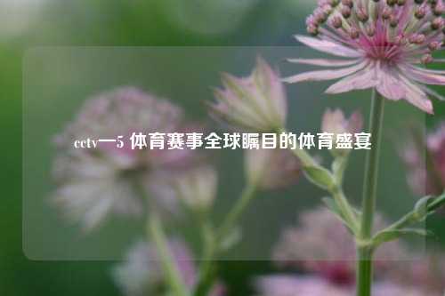 cctv一5 体育赛事全球瞩目的体育盛宴