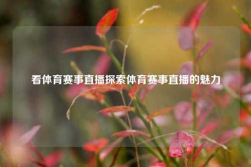 看体育赛事直播探索体育赛事直播的魅力