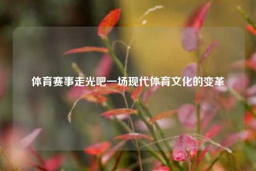 体育赛事走光吧一场现代体育文化的变革
