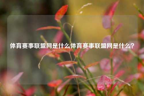 体育赛事联盟网是什么体育赛事联盟网是什么？