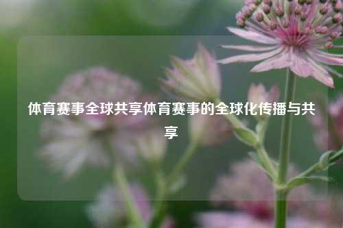 体育赛事全球共享体育赛事的全球化传播与共享