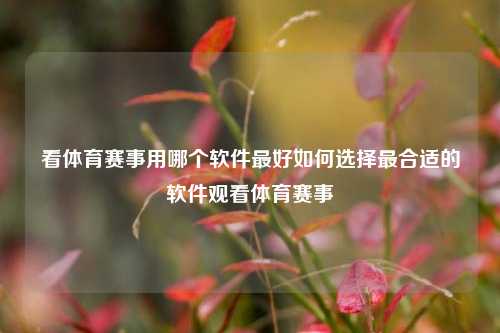 看体育赛事用哪个软件最好如何选择最合适的软件观看体育赛事
