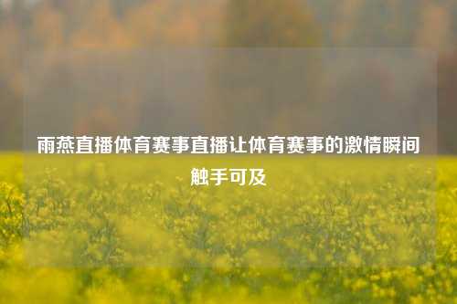 雨燕直播体育赛事直播让体育赛事的激情瞬间触手可及