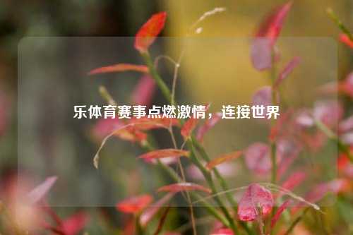 乐体育赛事点燃激情，连接世界