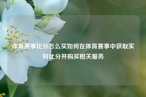 体育赛事比分怎么买如何在体育赛事中获取实时比分并购买相关服务