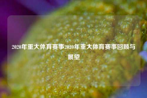 2020年重大体育赛事2020年重大体育赛事回顾与展望