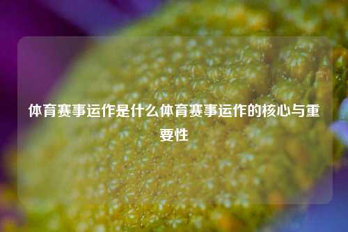 体育赛事运作是什么体育赛事运作的核心与重要性