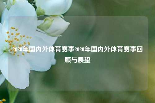 2020年国内外体育赛事2020年国内外体育赛事回顾与展望