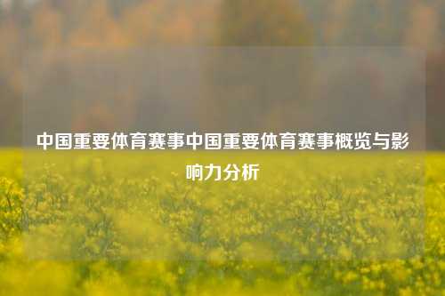 中国重要体育赛事中国重要体育赛事概览与影响力分析