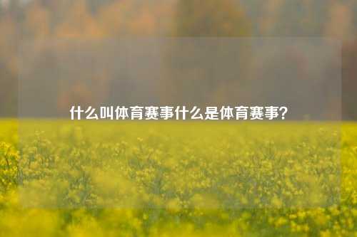 什么叫体育赛事什么是体育赛事？