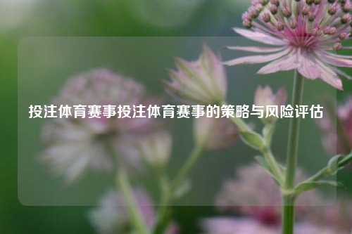 投注体育赛事投注体育赛事的策略与风险评估