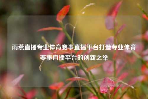 雨燕直播专业体育赛事直播平台打造专业体育赛事直播平台的创新之举