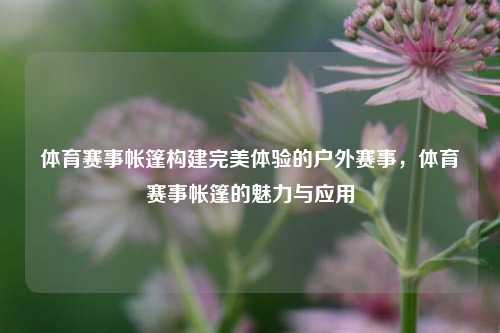 体育赛事帐篷构建完美体验的户外赛事，体育赛事帐篷的魅力与应用