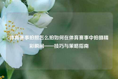 体育赛事拍照怎么拍如何在体育赛事中拍摄精彩瞬间——技巧与策略指南