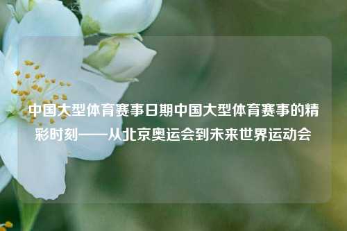 中国大型体育赛事日期中国大型体育赛事的精彩时刻——从北京奥运会到未来世界运动会