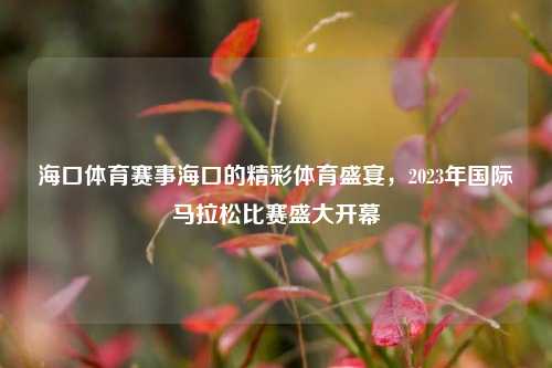 海口体育赛事海口的精彩体育盛宴，2023年国际马拉松比赛盛大开幕