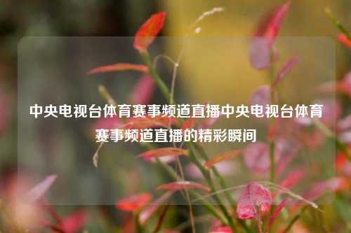 中央电视台体育赛事频道直播中央电视台体育赛事频道直播的精彩瞬间
