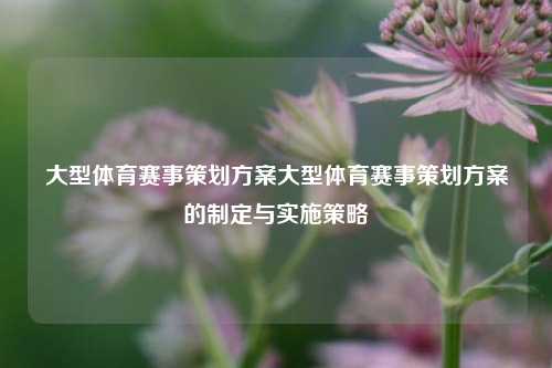 大型体育赛事策划方案大型体育赛事策划方案的制定与实施策略