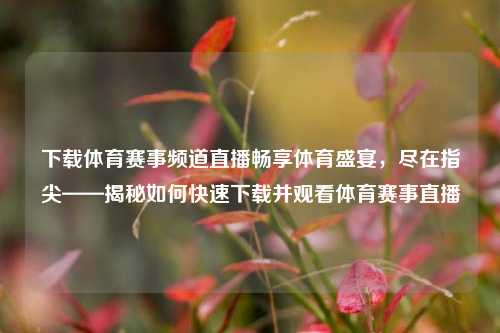 下载体育赛事频道直播畅享体育盛宴，尽在指尖——揭秘如何快速下载并观看体育赛事直播