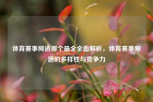 体育赛事频道哪个最全全面解析，体育赛事频道的多样性与竞争力
