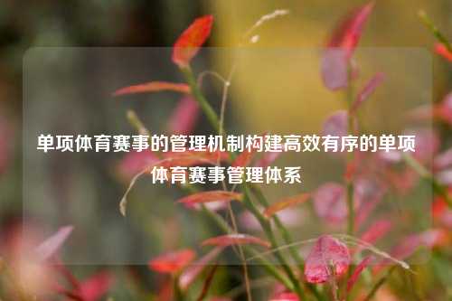 单项体育赛事的管理机制构建高效有序的单项体育赛事管理体系