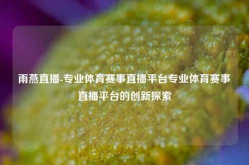 雨燕直播-专业体育赛事直播平台专业体育赛事直播平台的创新探索