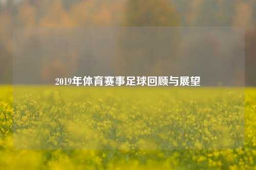 2019年体育赛事足球回顾与展望