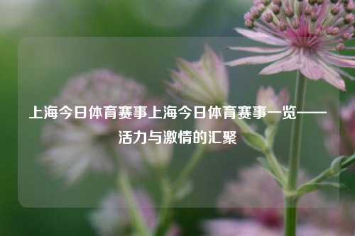 上海今日体育赛事上海今日体育赛事一览——活力与激情的汇聚