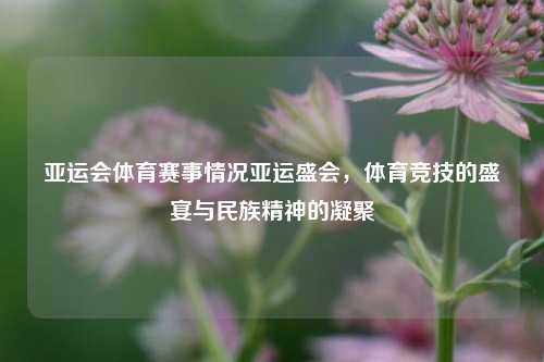 亚运会体育赛事情况亚运盛会，体育竞技的盛宴与民族精神的凝聚