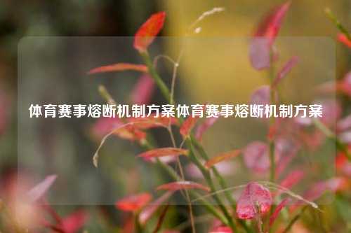 体育赛事熔断机制方案体育赛事熔断机制方案