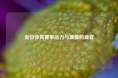 瓮安体育赛事活力与激情的盛宴