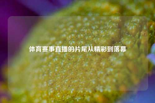 体育赛事直播的片尾从精彩到落幕