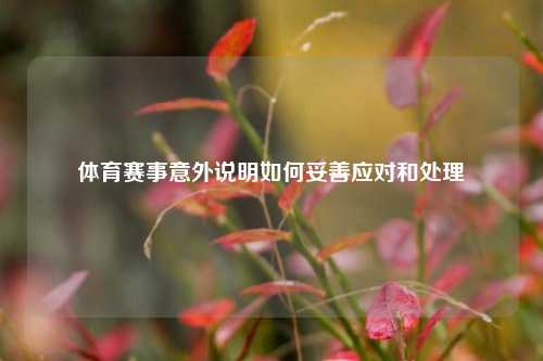 体育赛事意外说明如何妥善应对和处理