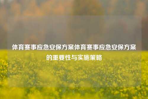 体育赛事应急安保方案体育赛事应急安保方案的重要性与实施策略