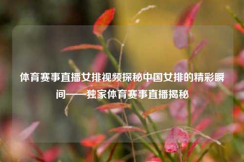 体育赛事直播女排视频探秘中国女排的精彩瞬间——独家体育赛事直播揭秘