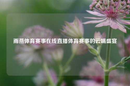 雨燕体育赛事在线直播体育赛事的云端盛宴