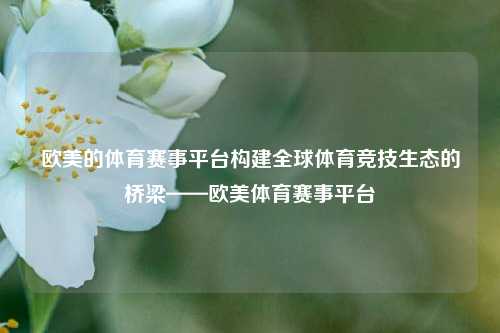 欧美的体育赛事平台构建全球体育竞技生态的桥梁——欧美体育赛事平台