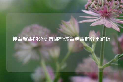 体育赛事的分类有哪些体育赛事的分类解析