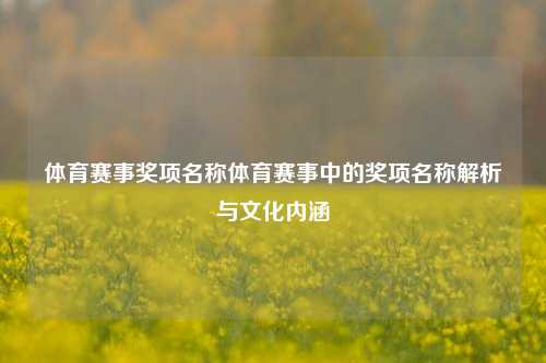 体育赛事奖项名称体育赛事中的奖项名称解析与文化内涵