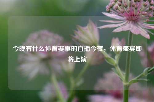 今晚有什么体育赛事的直播今夜，体育盛宴即将上演