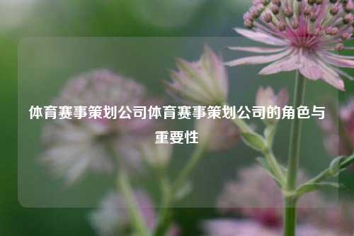体育赛事策划公司体育赛事策划公司的角色与重要性