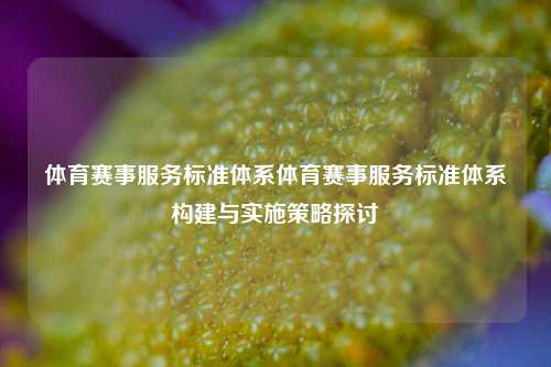 体育赛事服务标准体系体育赛事服务标准体系构建与实施策略探讨