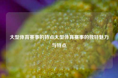 大型体育赛事的特点大型体育赛事的独特魅力与特点