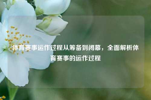 体育赛事运作过程从筹备到闭幕，全面解析体育赛事的运作过程