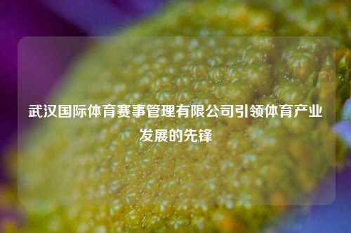 武汉国际体育赛事管理有限公司引领体育产业发展的先锋