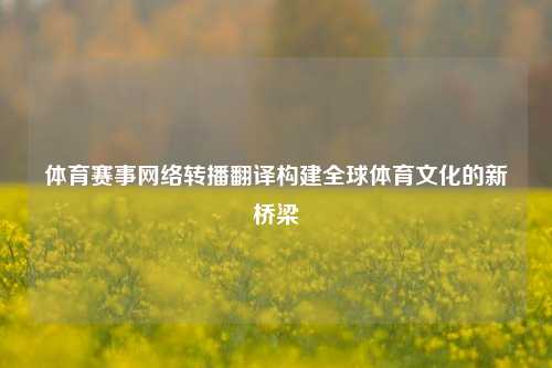 体育赛事网络转播翻译构建全球体育文化的新桥梁