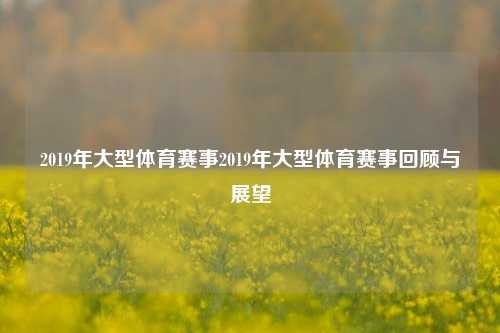 2019年大型体育赛事2019年大型体育赛事回顾与展望